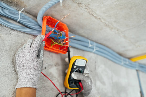 Best Electric Panel Repair  in Lus Valley Marinwood, CA